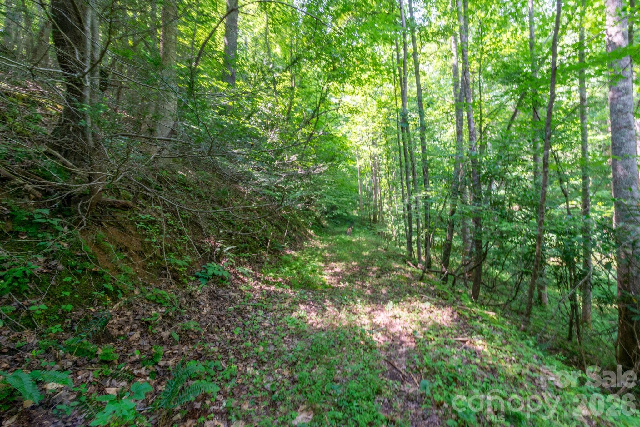 Acreage at ### Board Tree Road, Marshall, photo 5 of 12