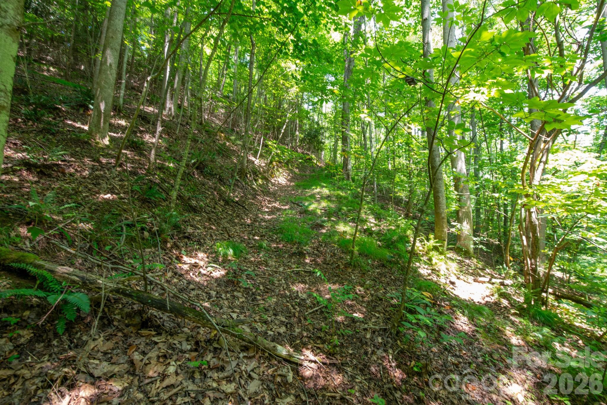 Acreage at ### Board Tree Road, Marshall, photo 6 of 13