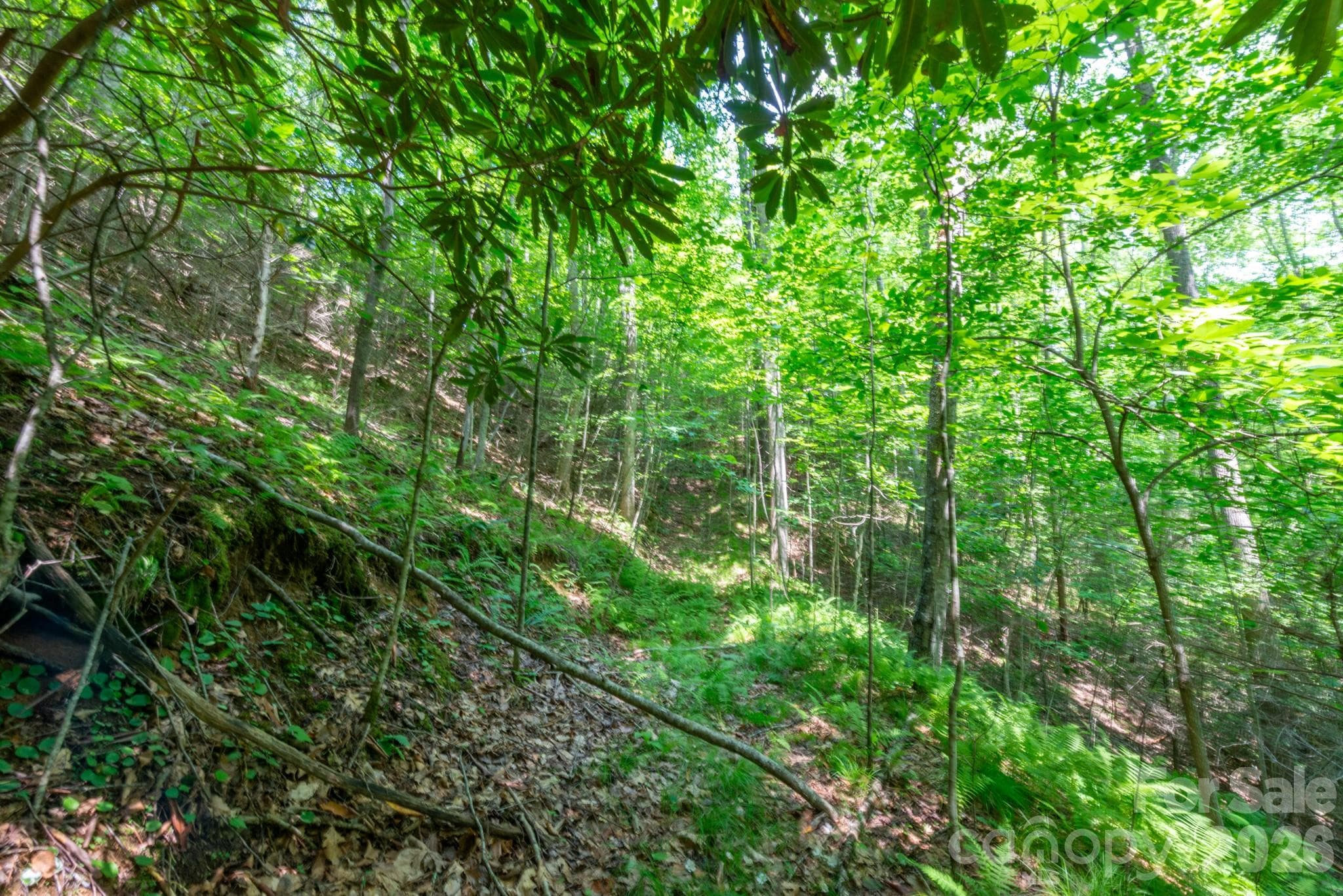 Acreage at ### Board Tree Road, Marshall, photo 7 of 13