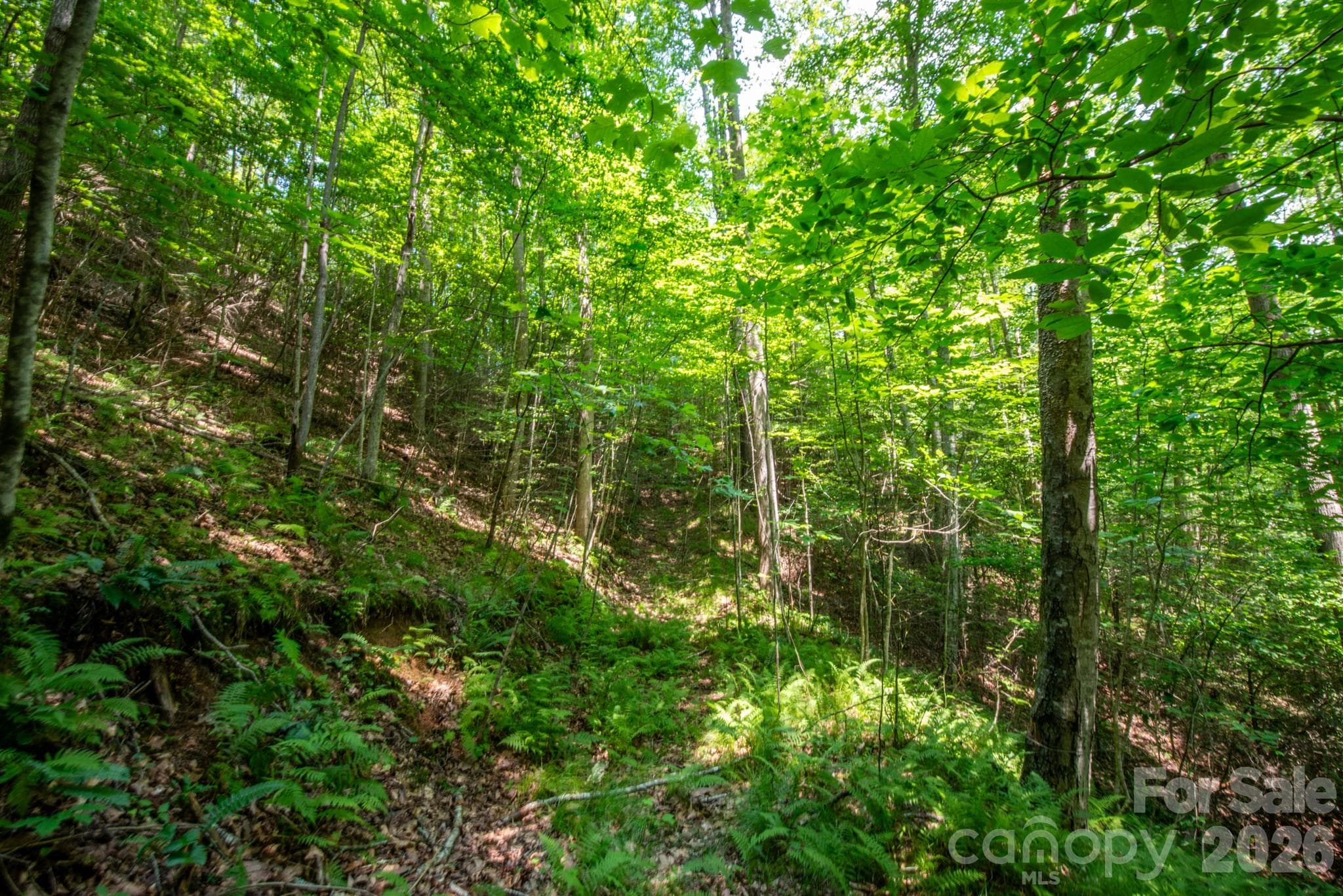 Acreage at ### Board Tree Road, Marshall, photo 8 of 13