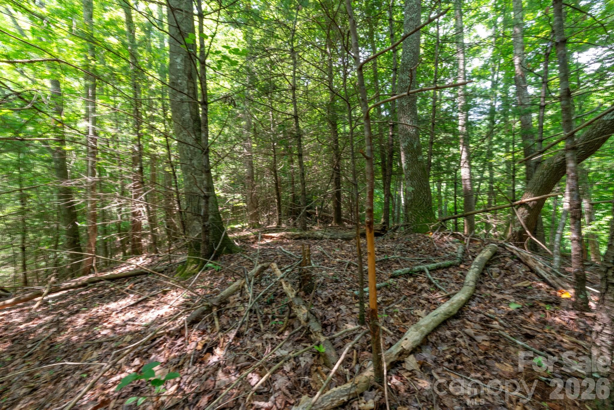 Acreage at ### Board Tree Road, Marshall, photo 10 of 13