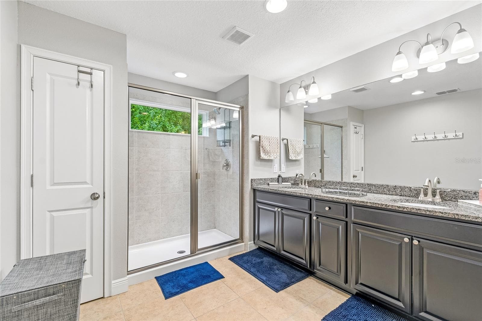 Master bathroom - 17852 ALTHEA BLUE PL, LUTZ