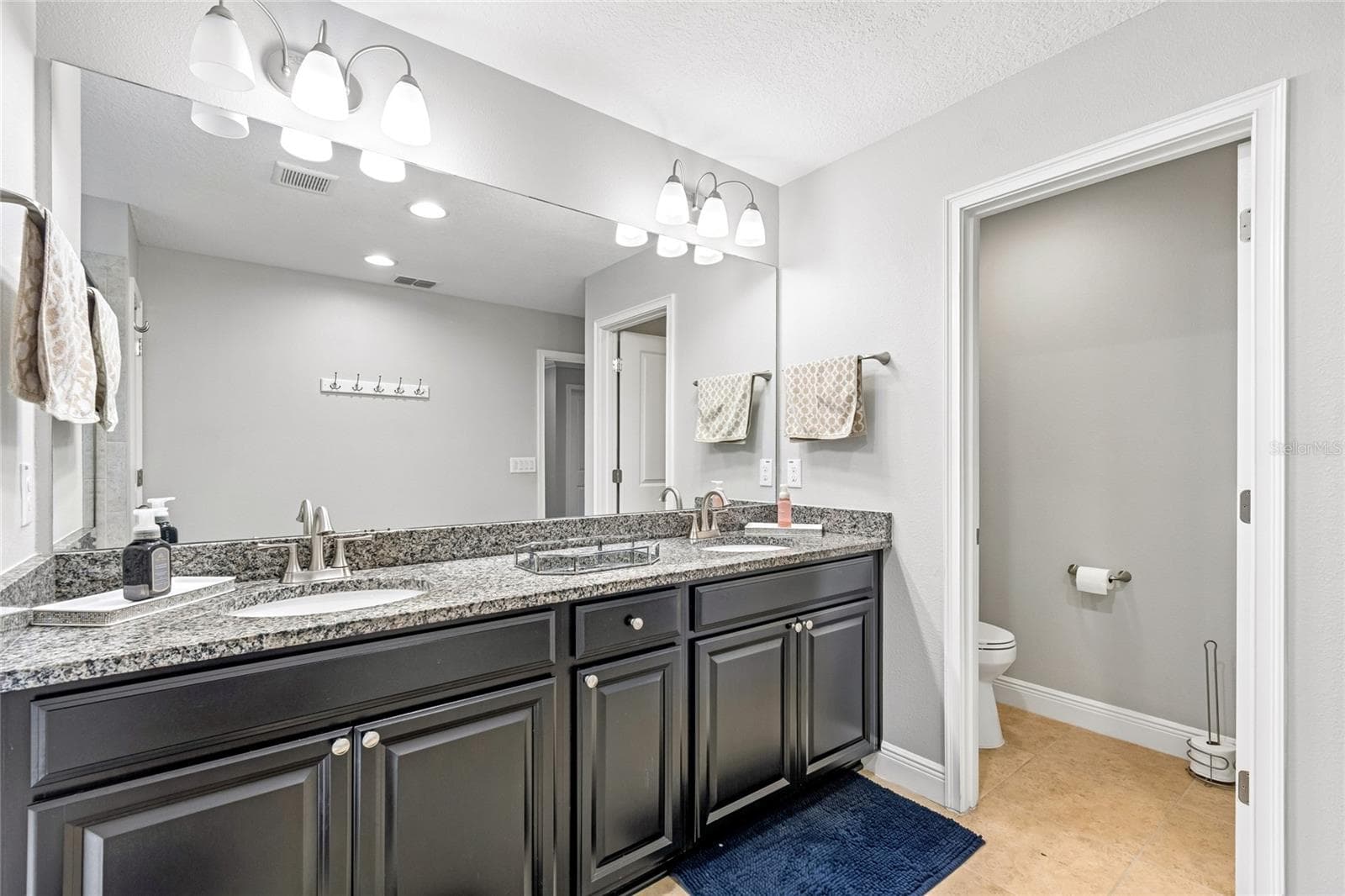 Master bathroom 2 - 17852 ALTHEA BLUE PL, LUTZ