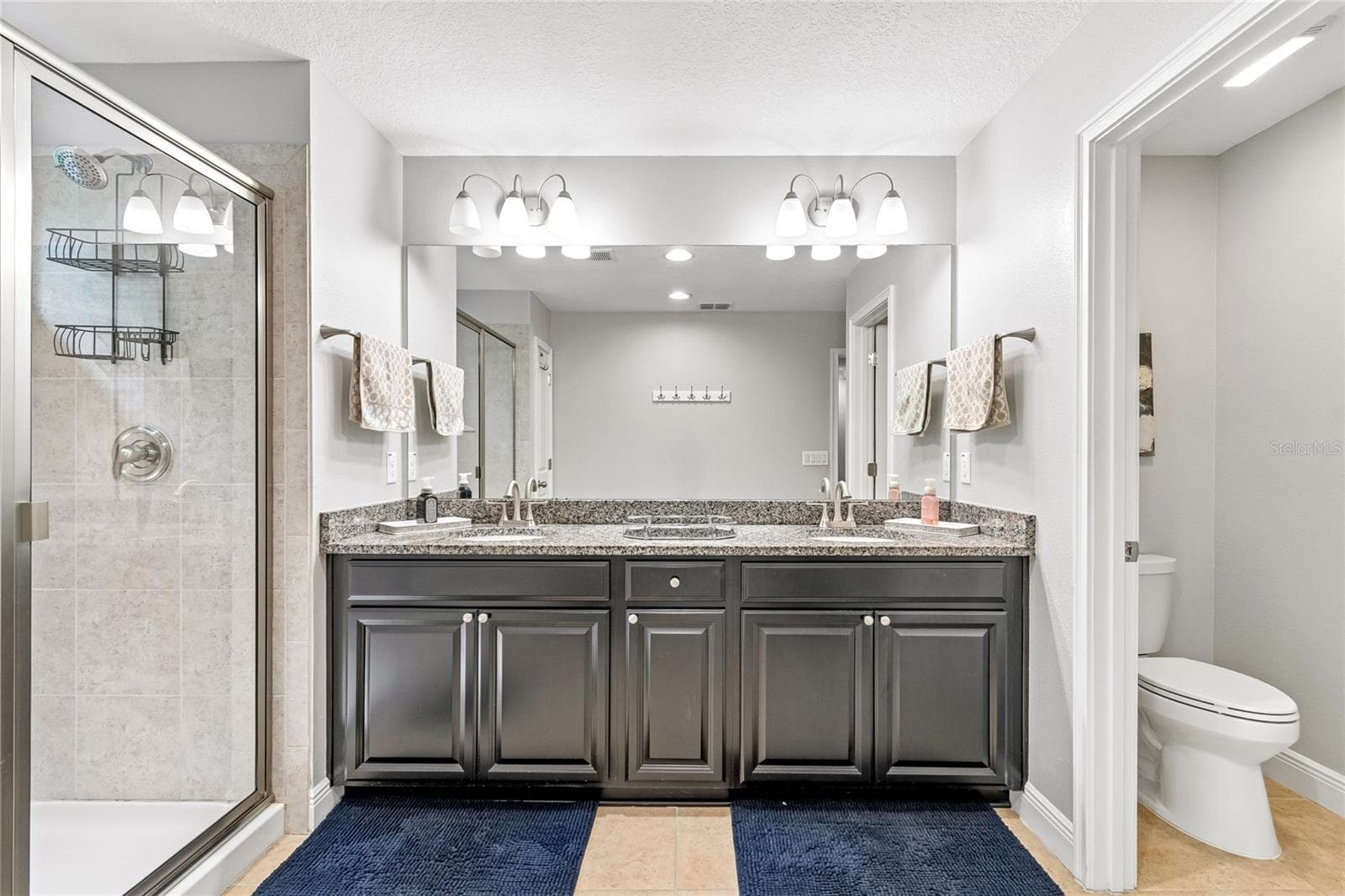 Master bathroom 3 - 17852 ALTHEA BLUE PL, LUTZ