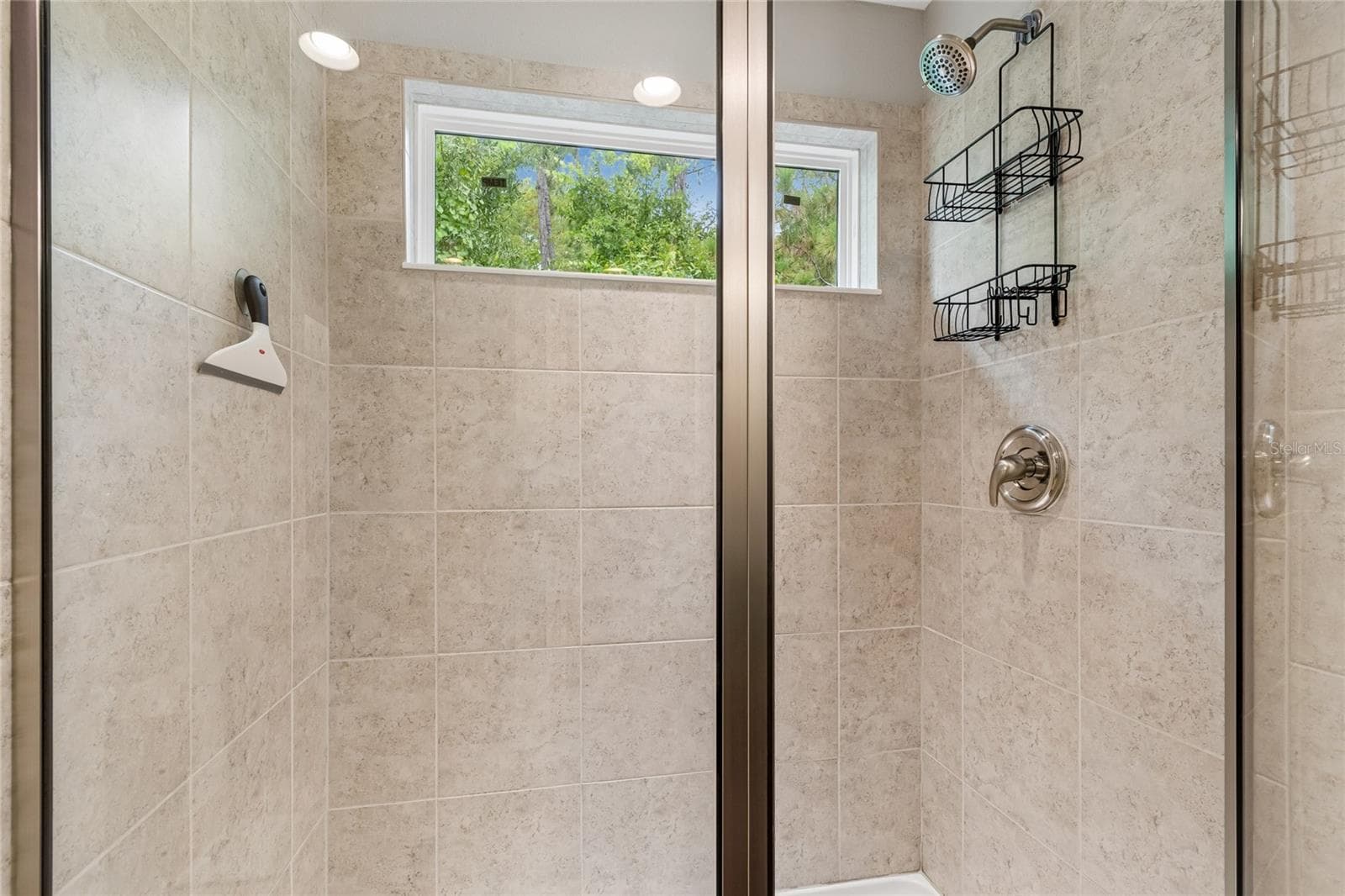 Master bathroom 4 - 17852 ALTHEA BLUE PL, LUTZ