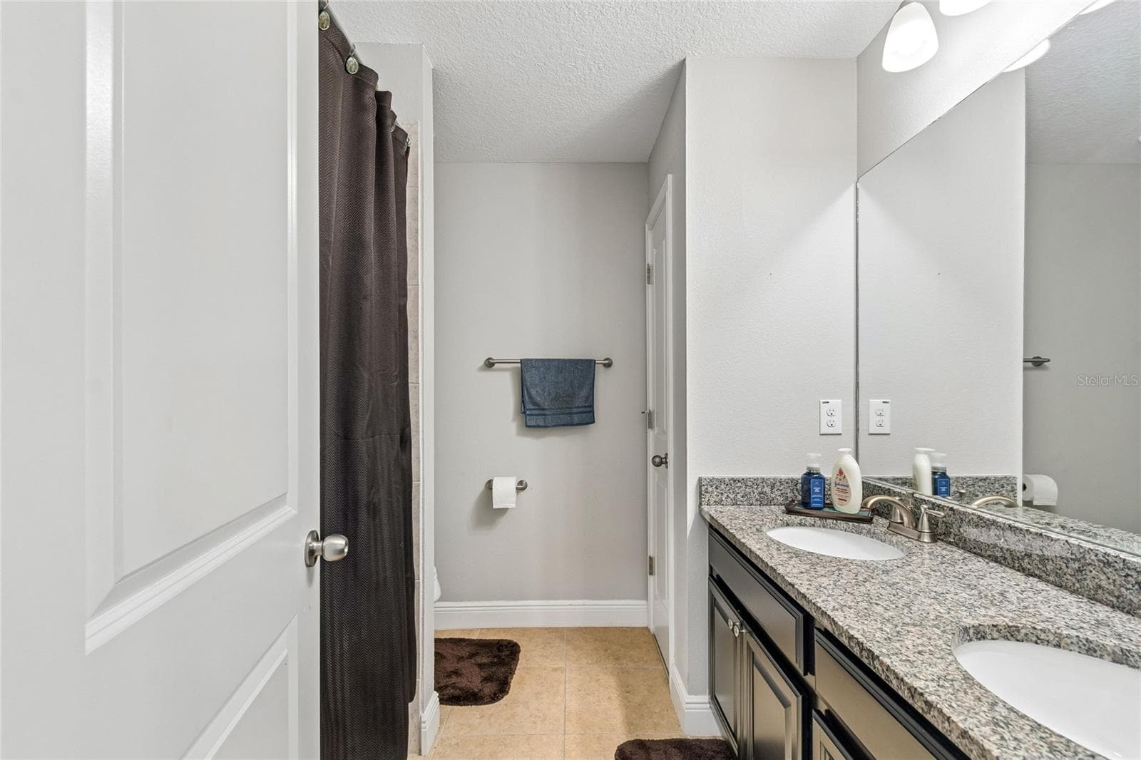 Bathroom 2 - 17852 ALTHEA BLUE PL, LUTZ