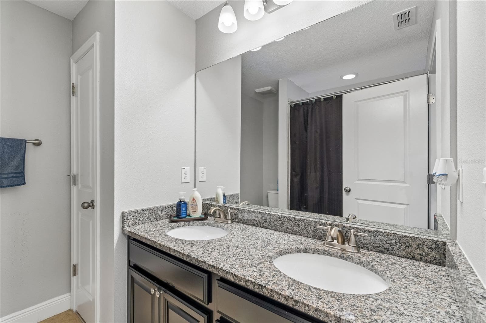 Townhouse at 17852 ALTHEA BLUE PL, LUTZ, photo 38 of 51