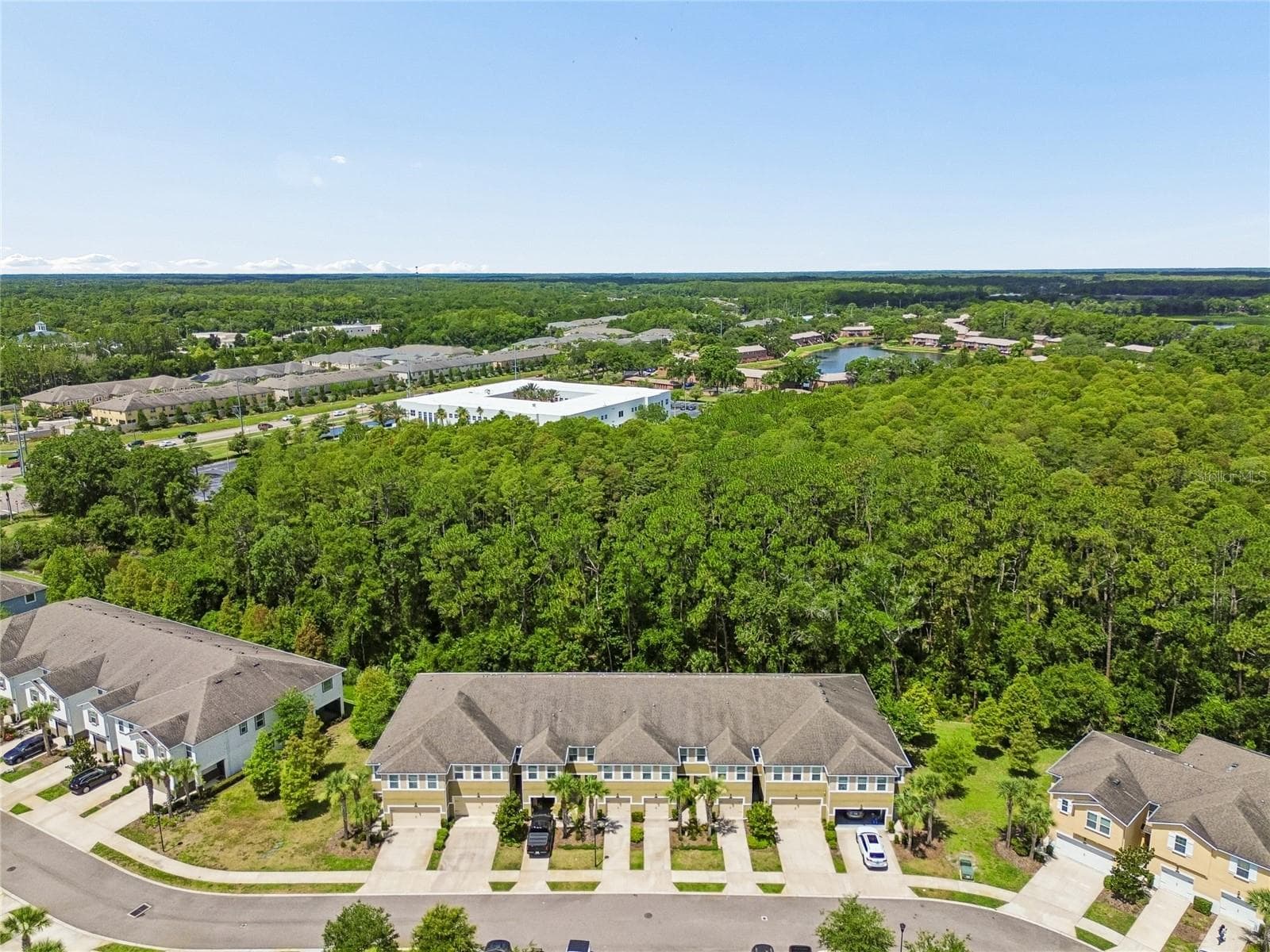 Townhouse at 17852 ALTHEA BLUE PL, LUTZ, photo 51 of 51