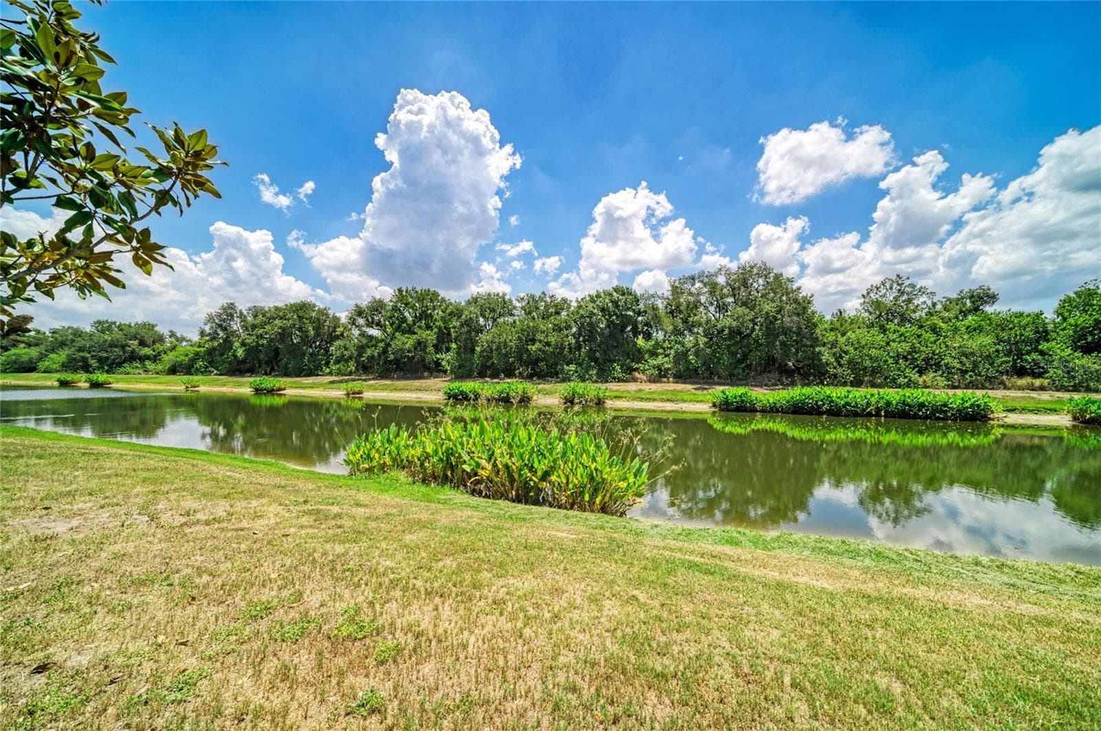 Single Family Residence at 316 STAR SHELL DR, APOLLO BEACH, photo 49 of 57