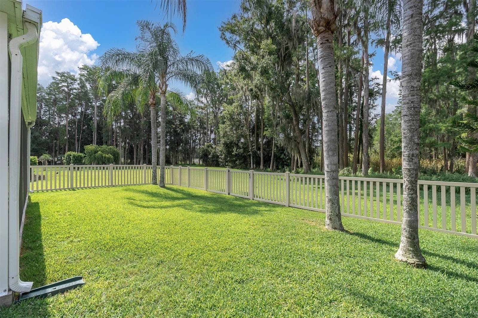 Single Family Residence at 7832 BLUE SPRING DR, LAND O LAKES, photo 33 of 50