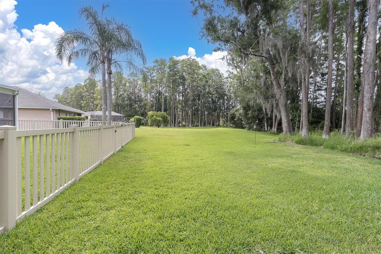 Single Family Residence at 7832 BLUE SPRING DR, LAND O LAKES, photo 37 of 50
