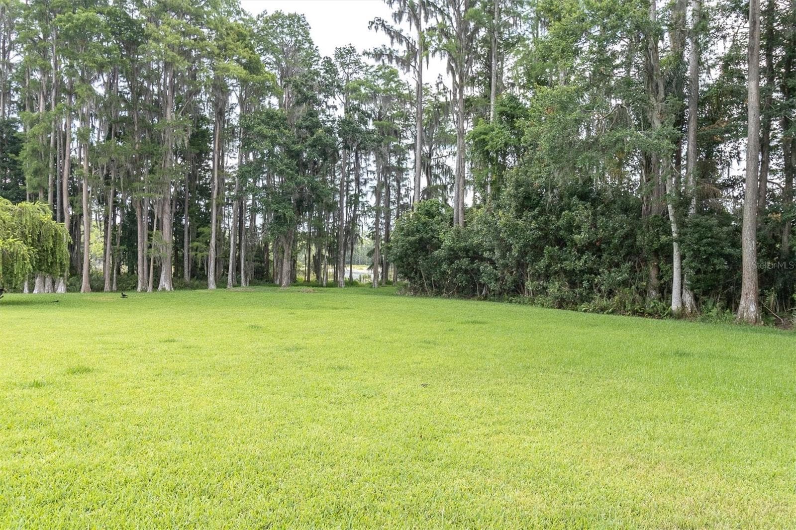 Single Family Residence at 7832 BLUE SPRING DR, LAND O LAKES, photo 39 of 50
