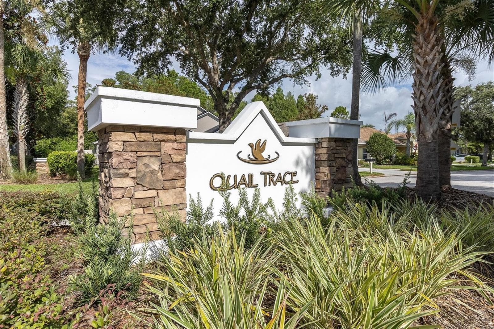 Single Family Residence at 7832 BLUE SPRING DR, LAND O LAKES, photo 41 of 50