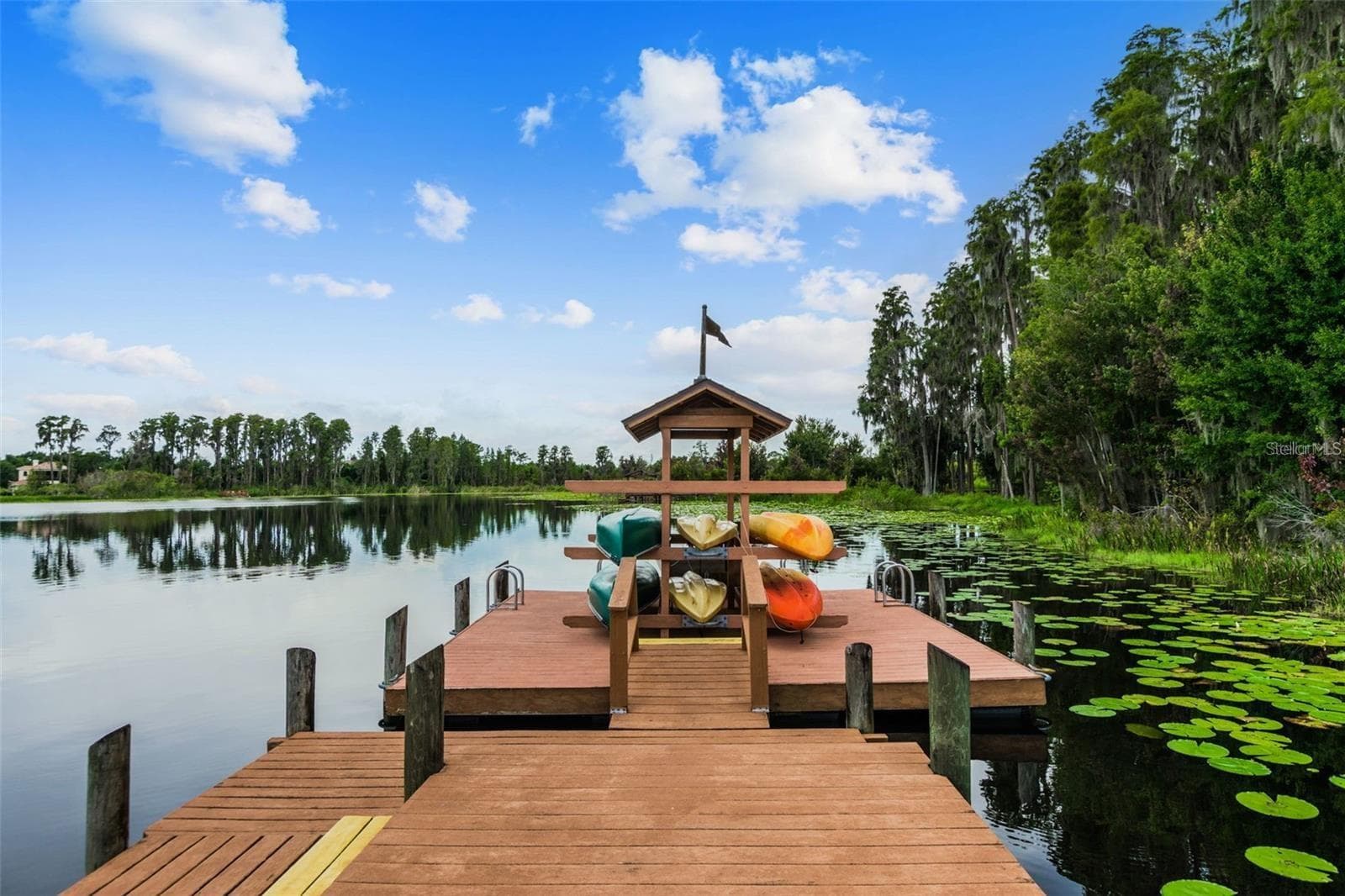 Single Family Residence at 7832 BLUE SPRING DR, LAND O LAKES, photo 43 of 50