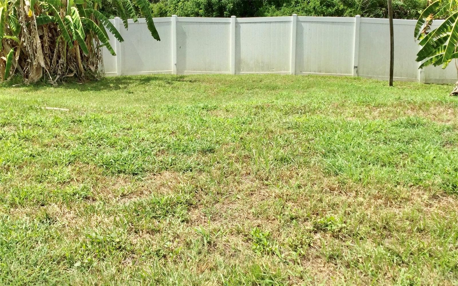 Backyard - 10728 SHADY PRESERVE DR, RIVERVIEW