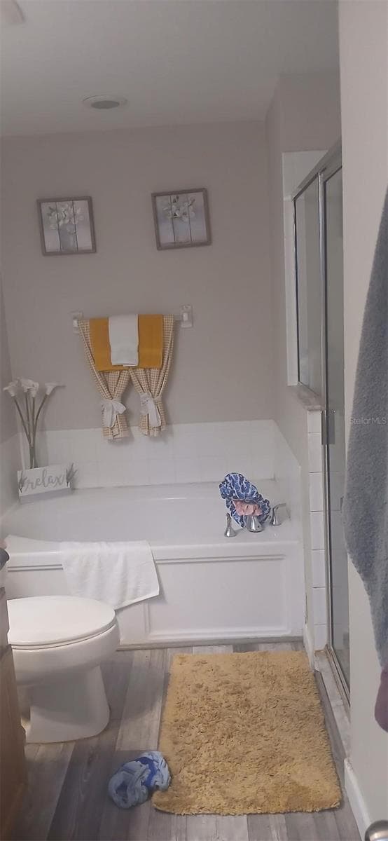 Master Bathroom - 10728 SHADY PRESERVE DR, RIVERVIEW