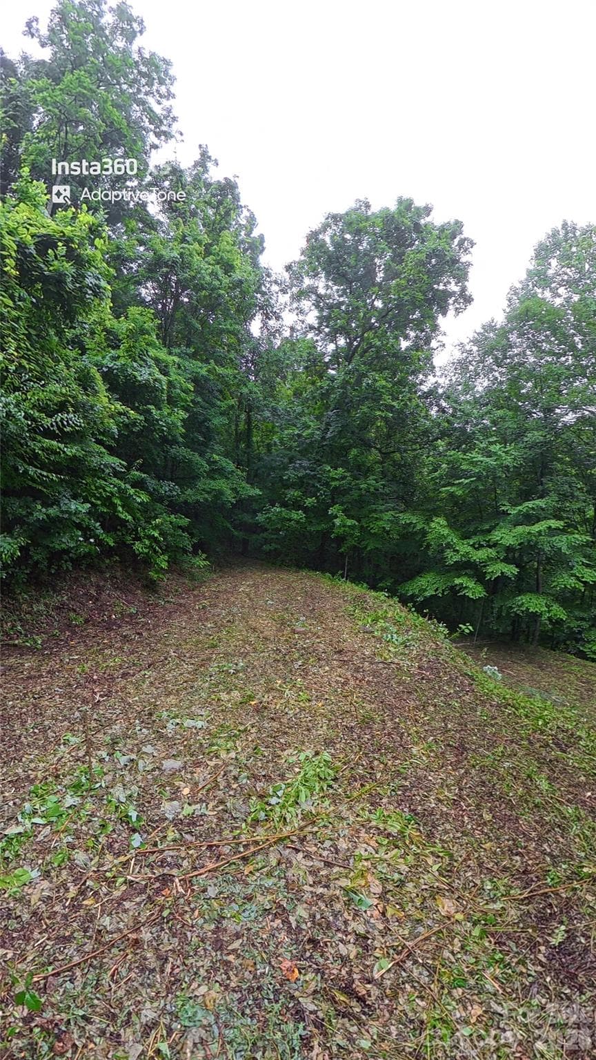 Lot at Maggie Valley, photo 2 of 5