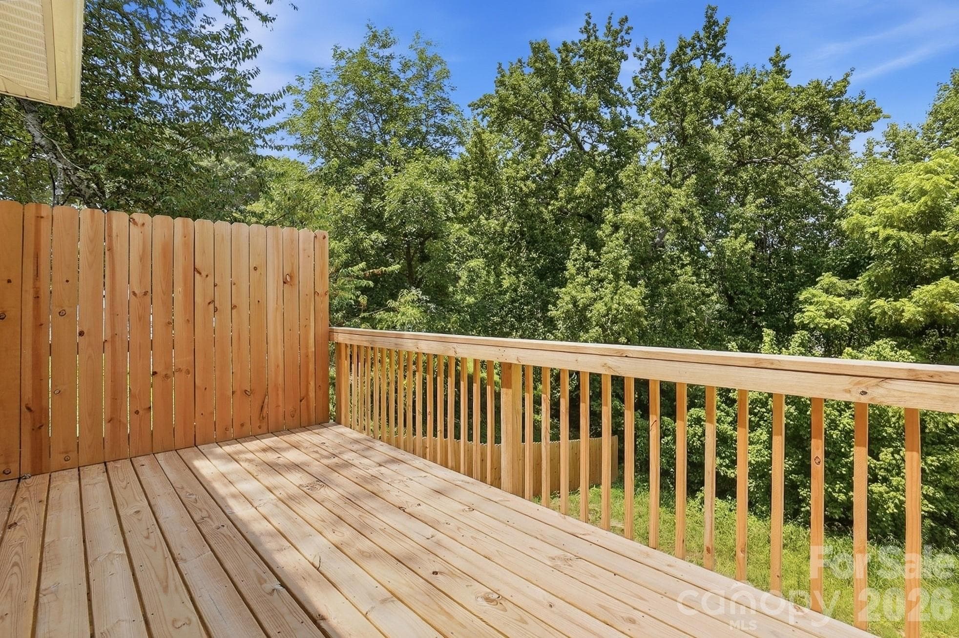Back Deck - 510 W 9th Street, Kannapolis