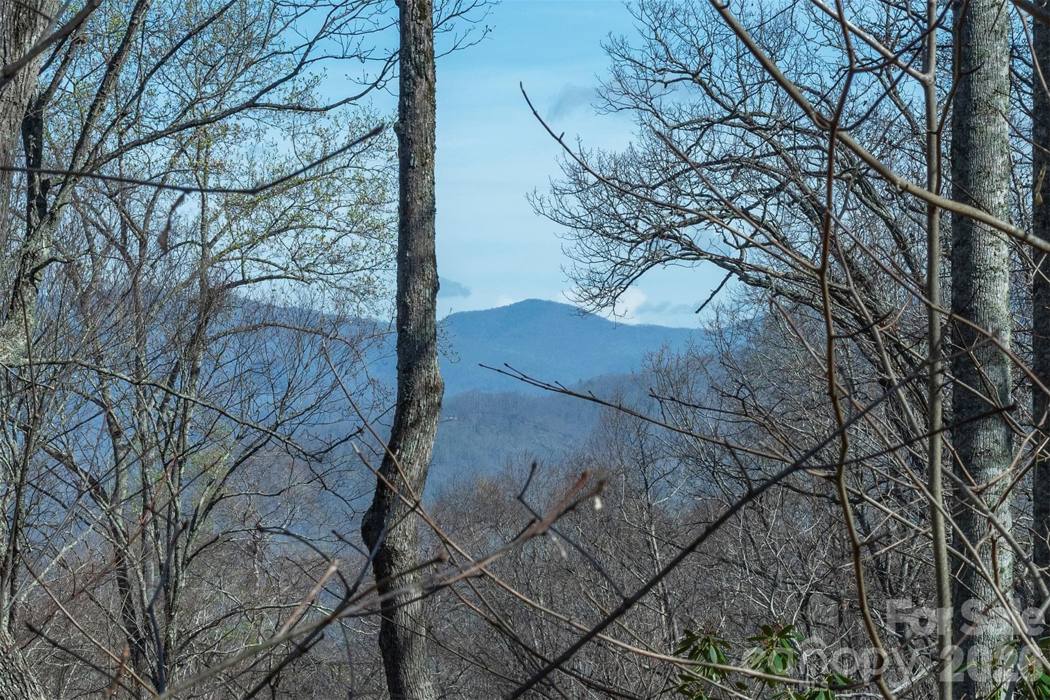 Lot at 1279 Arborcrest Way, Swannanoa, photo 3 of 41