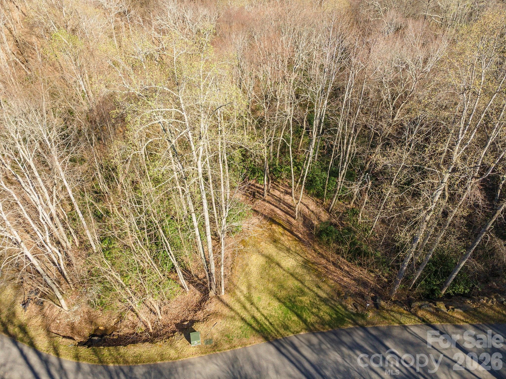 Lot at 1279 Arborcrest Way, Swannanoa, photo 4 of 41