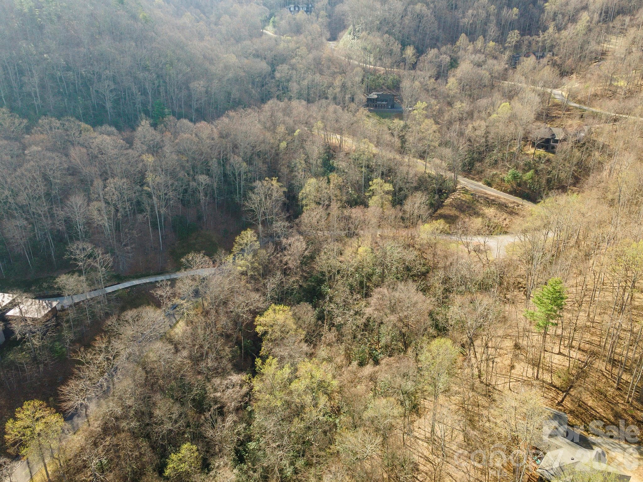 Lot at 1279 Arborcrest Way, Swannanoa, photo 7 of 41