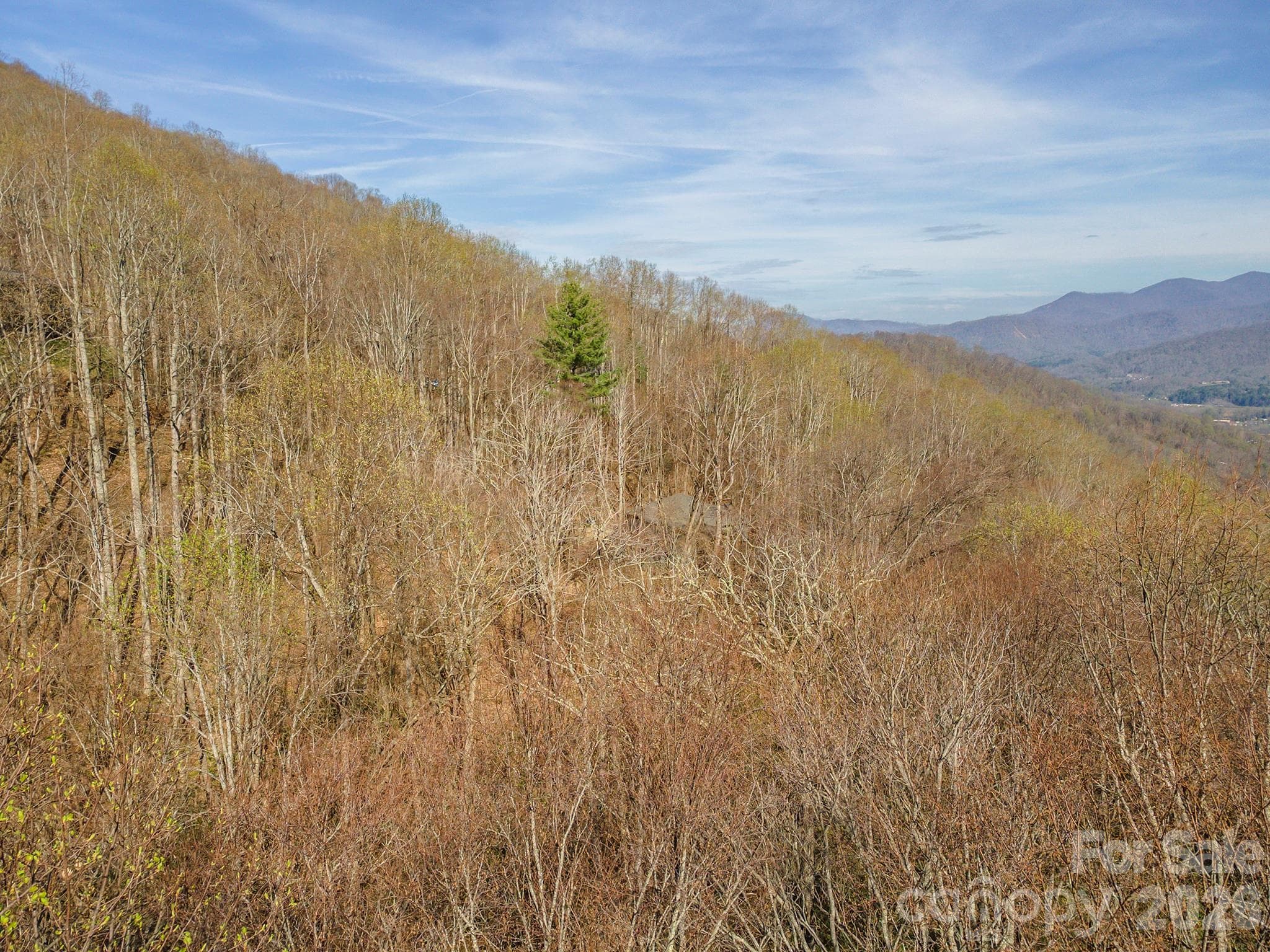 Lot at 1279 Arborcrest Way, Swannanoa, photo 14 of 41