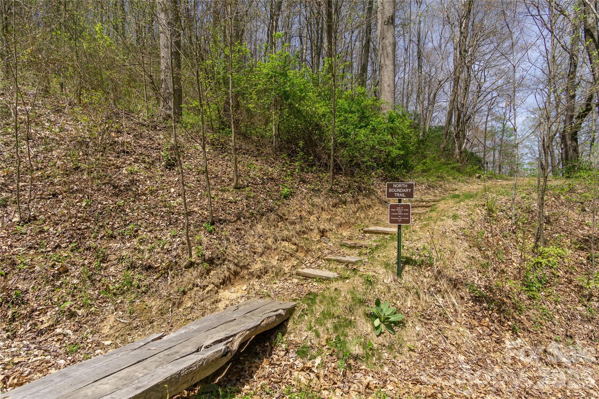Lot at 1279 Arborcrest Way, Swannanoa, photo 19 of 41