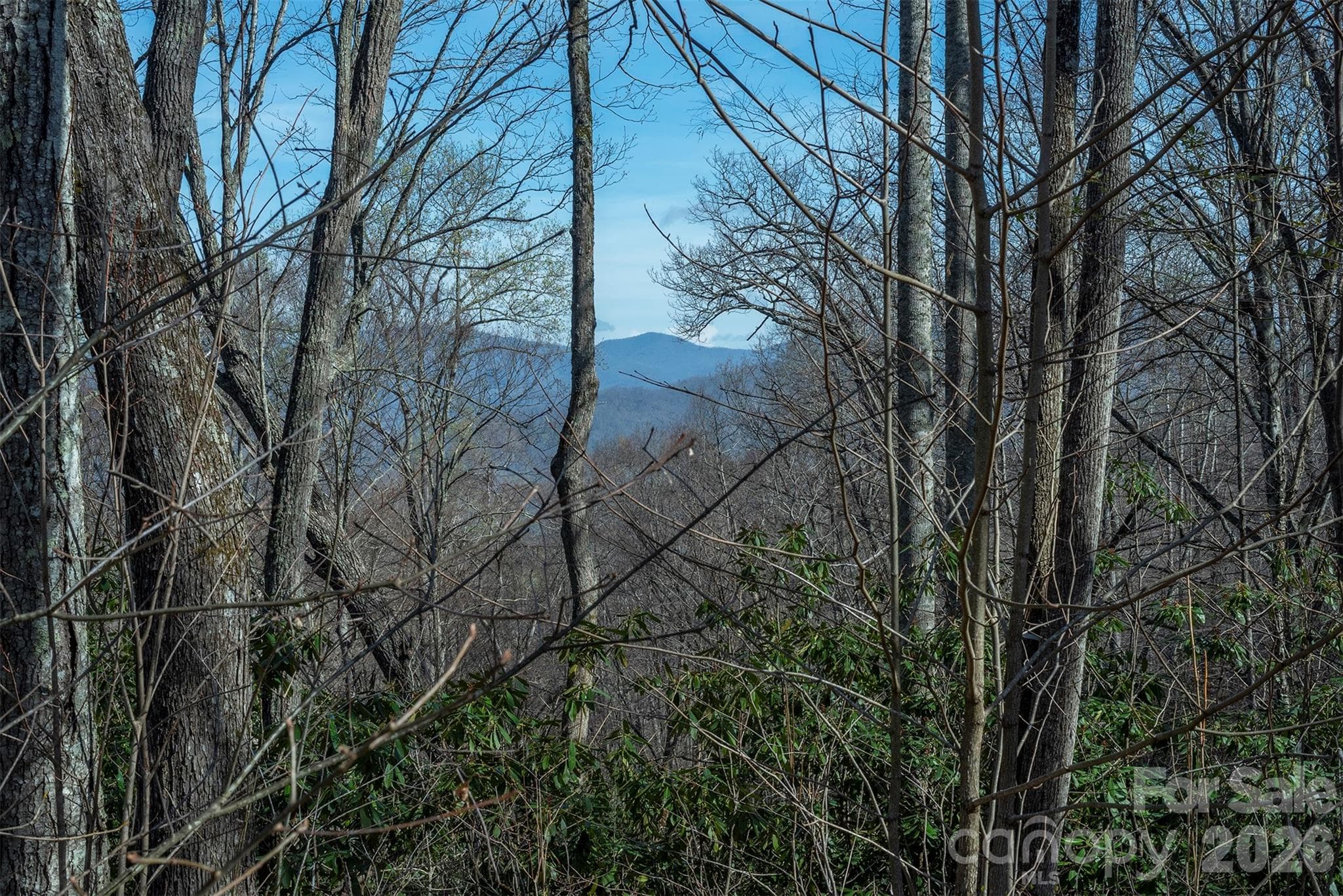 Lot at 1279 Arborcrest Way, Swannanoa, photo 22 of 41