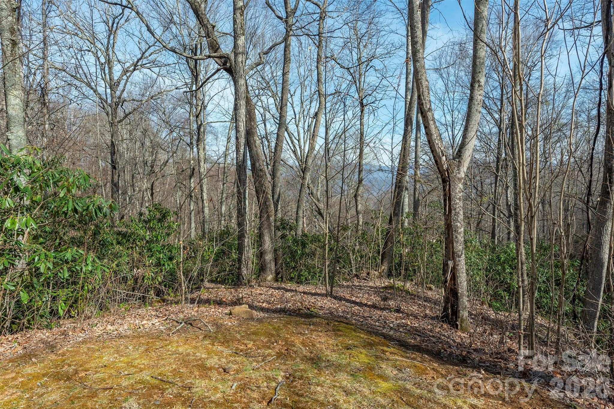 Lot at 1279 Arborcrest Way, Swannanoa, photo 24 of 41