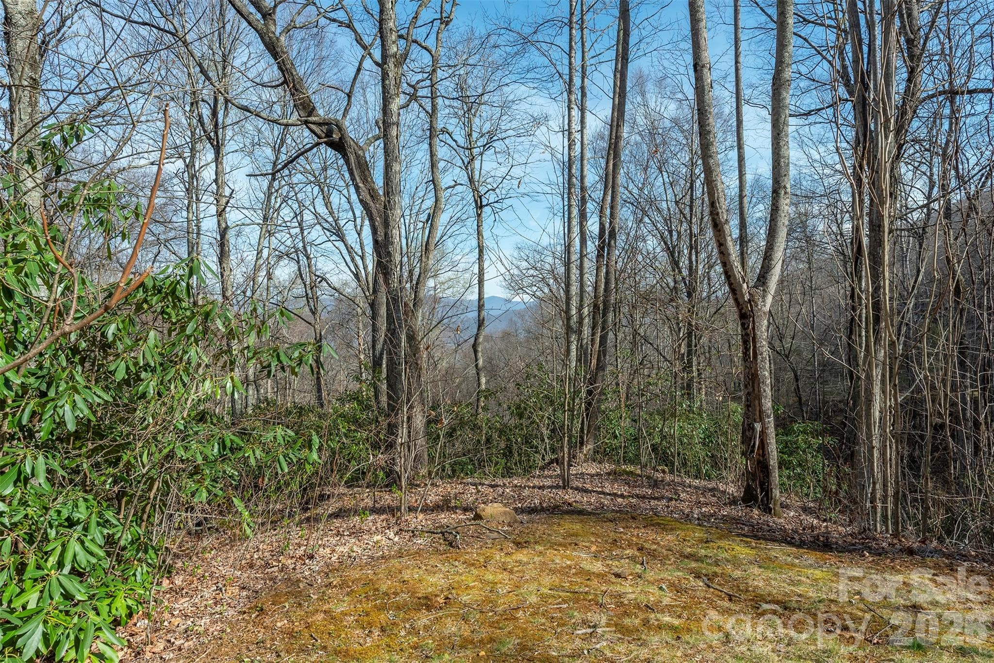 Lot at 1279 Arborcrest Way, Swannanoa, photo 25 of 41