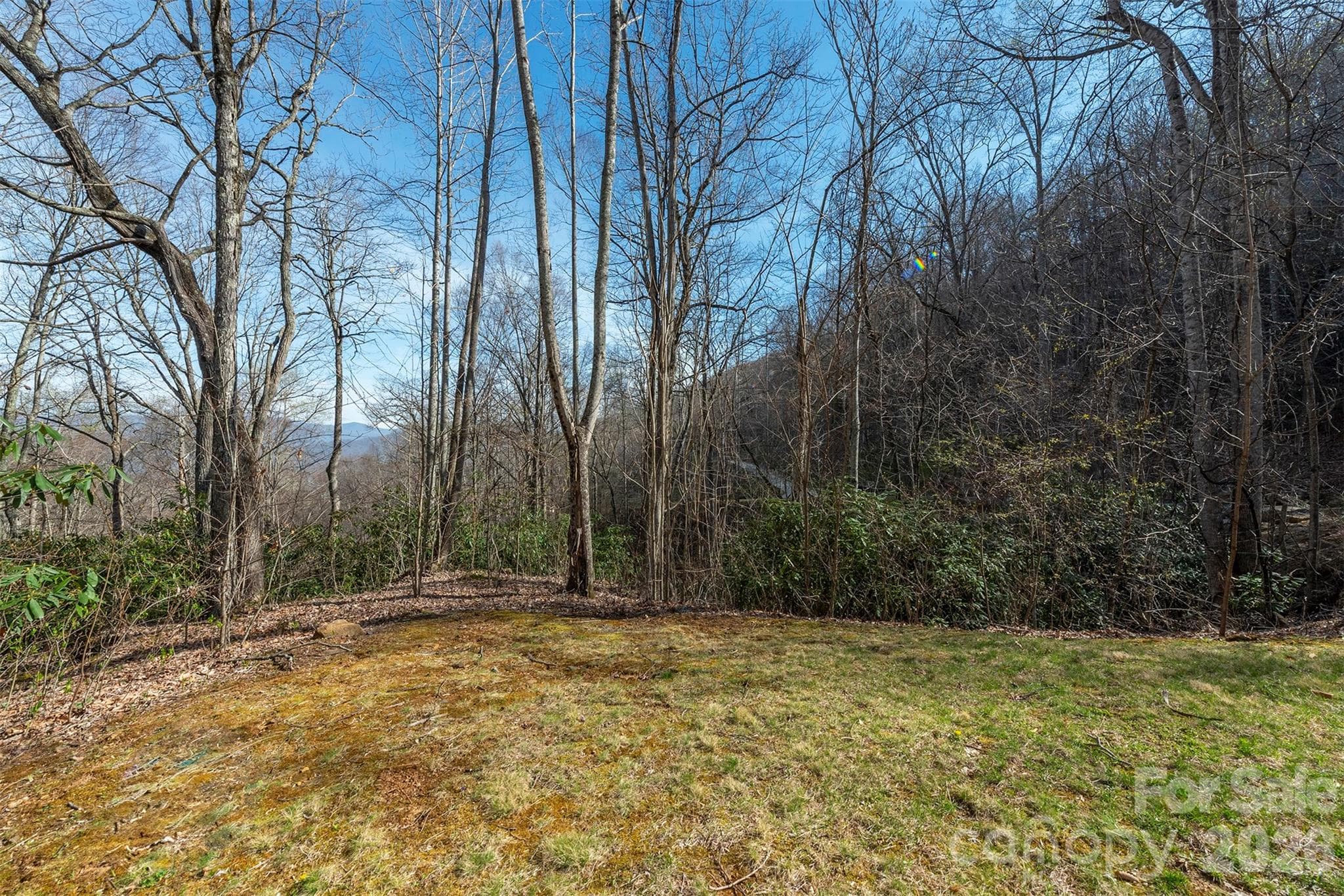 Lot at 1279 Arborcrest Way, Swannanoa, photo 26 of 41