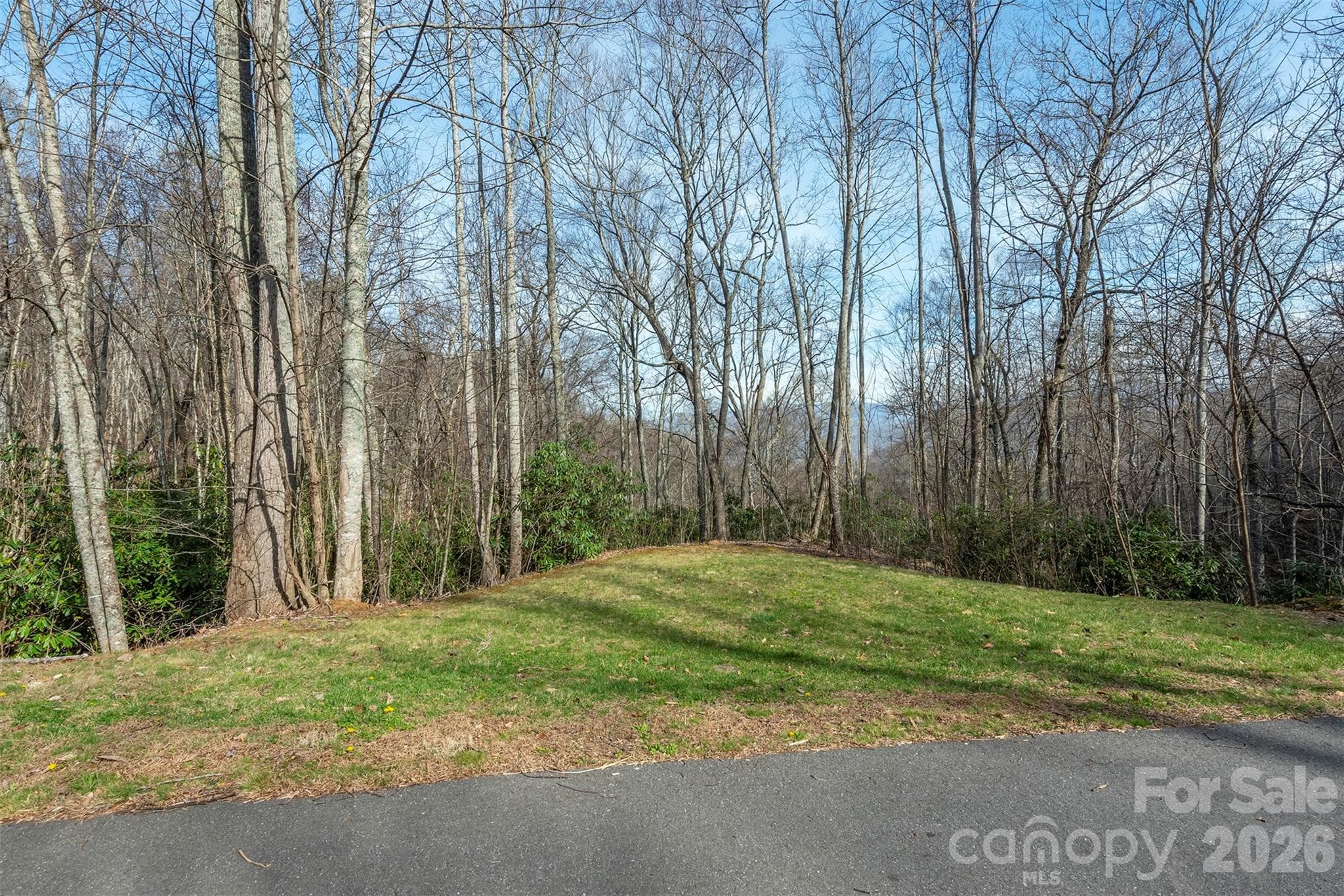 Lot at 1279 Arborcrest Way, Swannanoa, photo 33 of 41