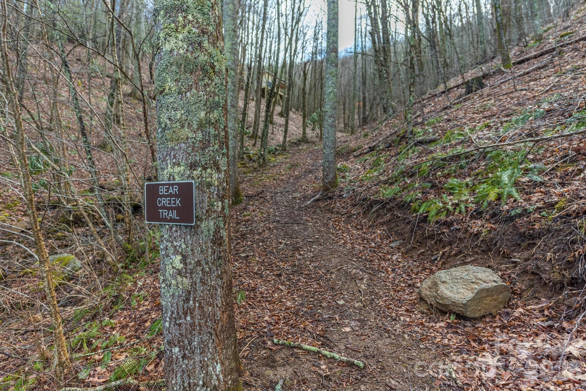 Community trails - 1279 Arborcrest Way, Swannanoa
