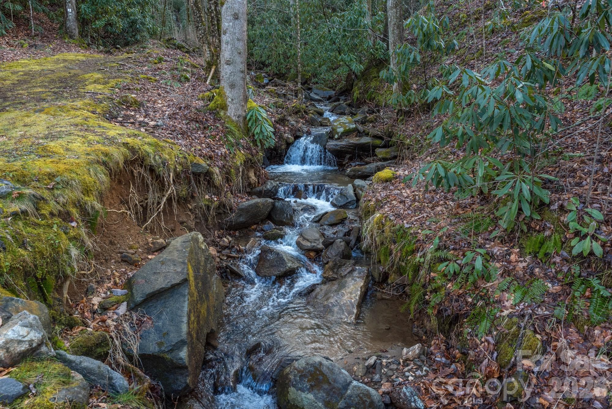 Community streams - 1279 Arborcrest Way, Swannanoa