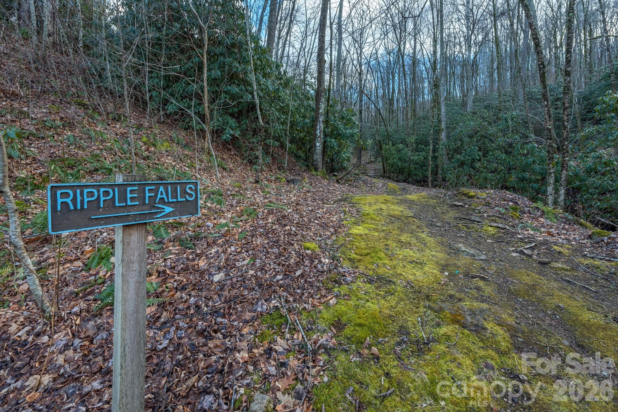 Community trials - 1279 Arborcrest Way, Swannanoa