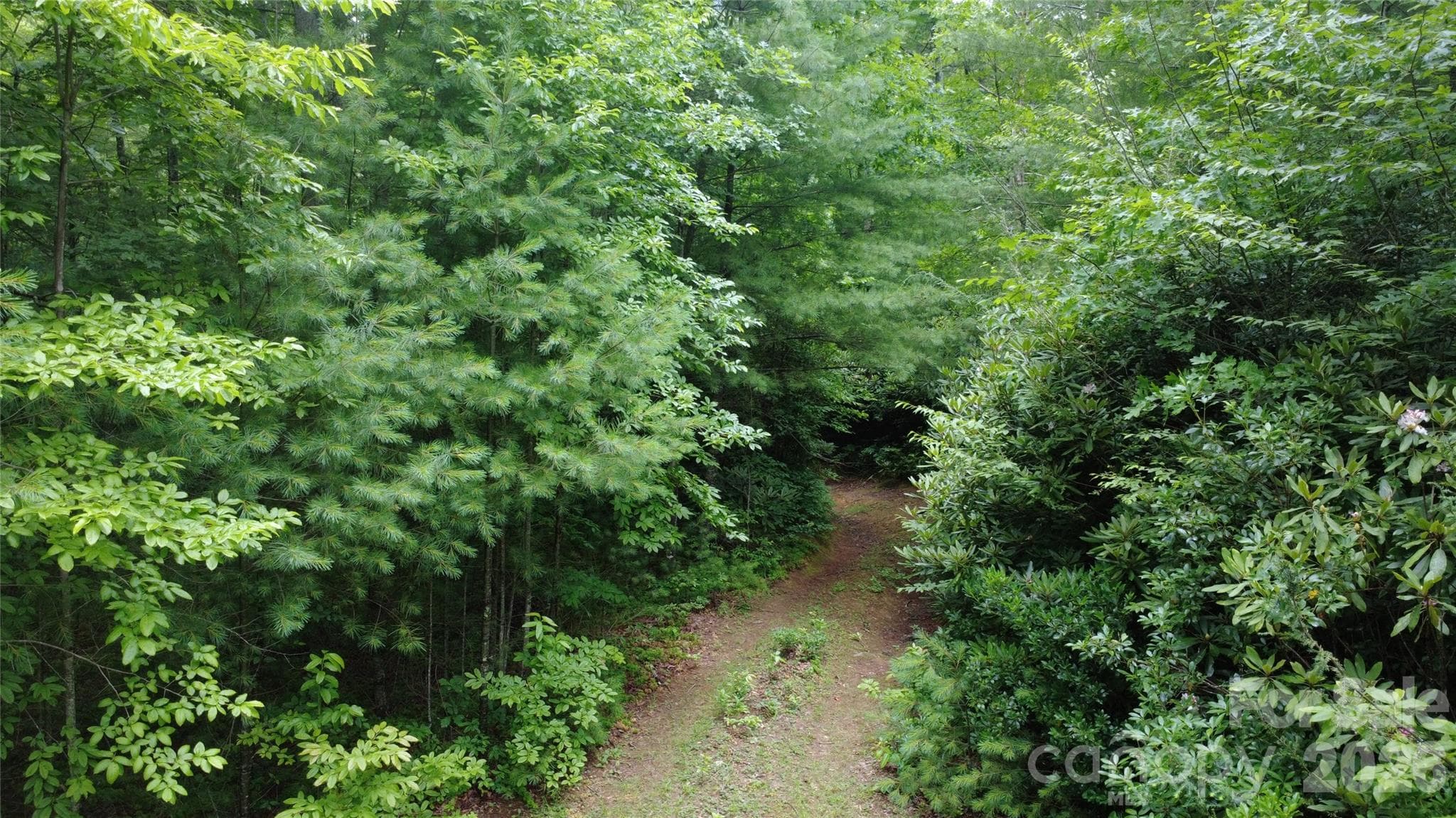 Acreage at Lenoir, photo 3 of 21
