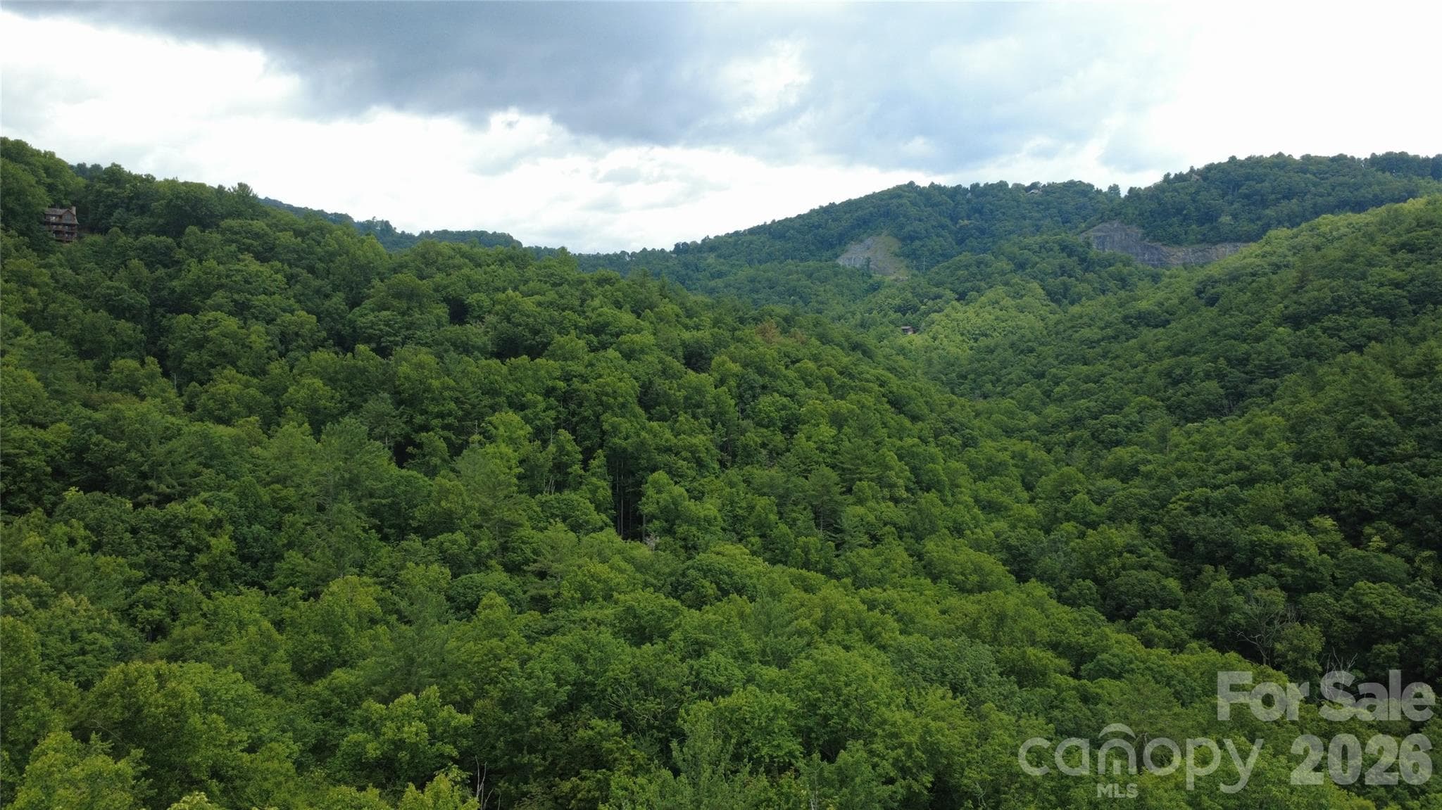 Acreage at Lenoir, photo 4 of 21