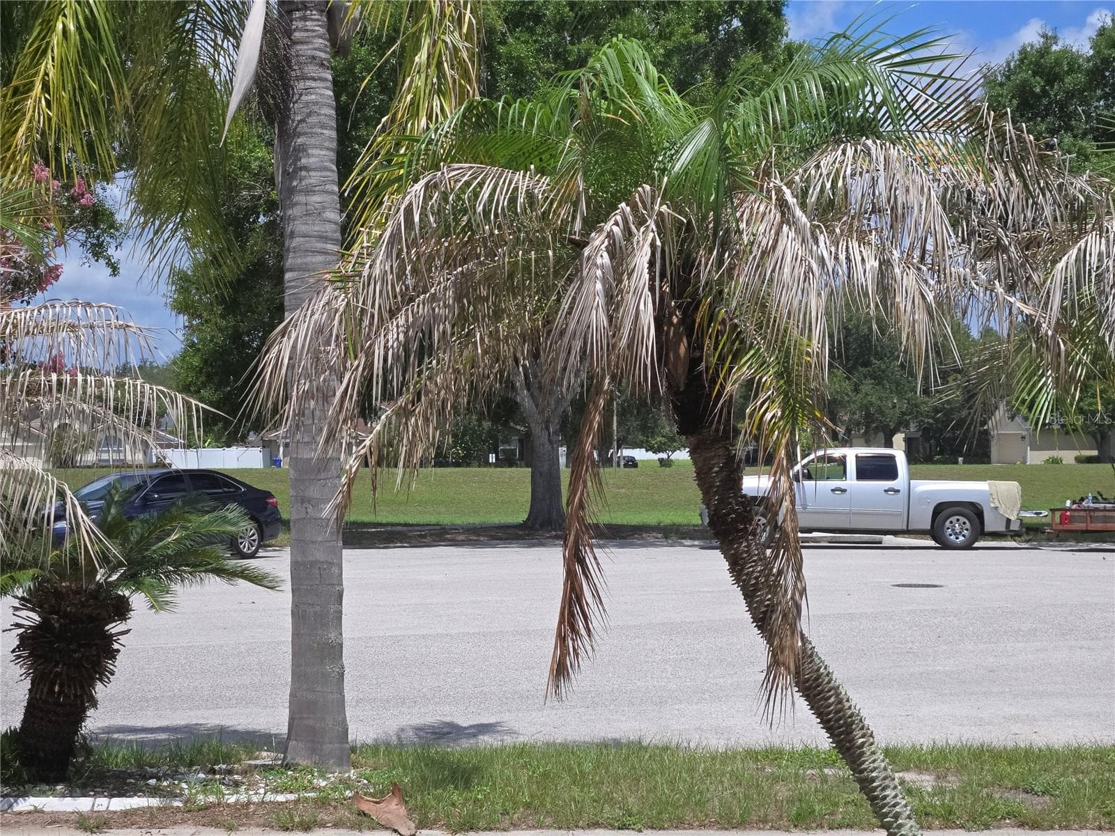View across the street - 4106 BALINGTON DR, VALRICO