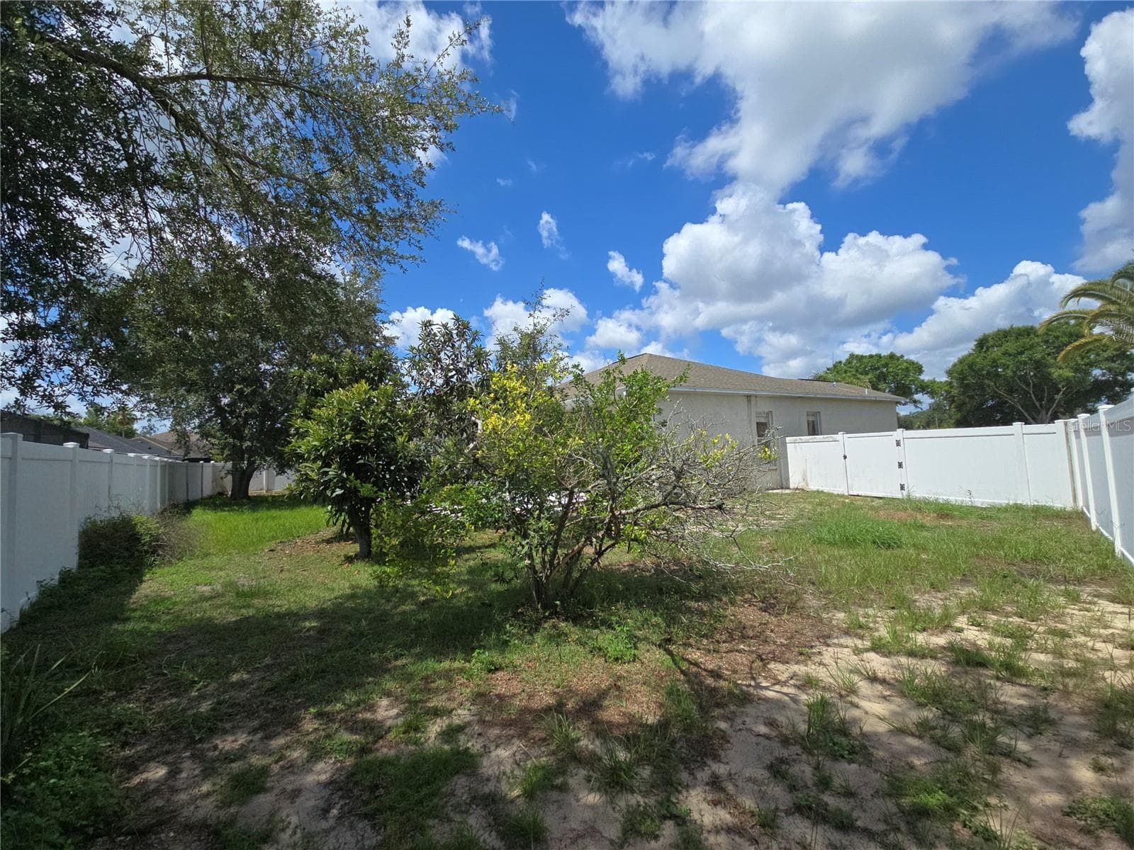Backyard Rear - 4106 BALINGTON DR, VALRICO