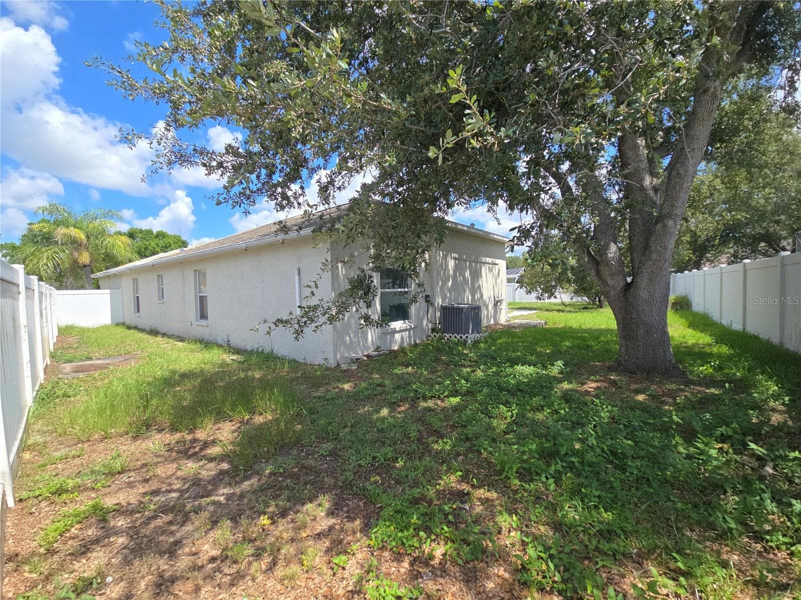 Backyard Side - 4106 BALINGTON DR, VALRICO