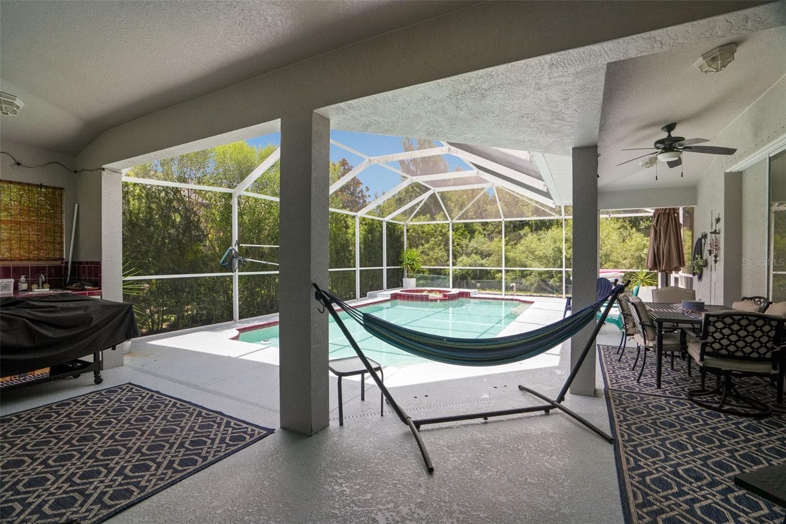 Expansive covering under the screened enclosure - 2117 LARKSPUR CT, TRINITY