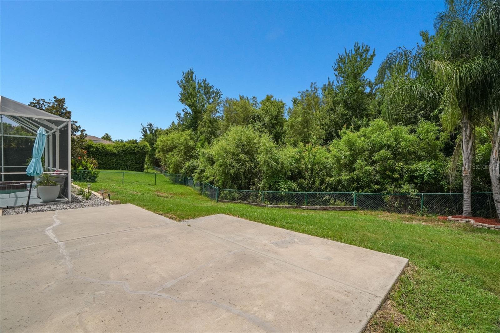 Conservation area - 2117 LARKSPUR CT, TRINITY