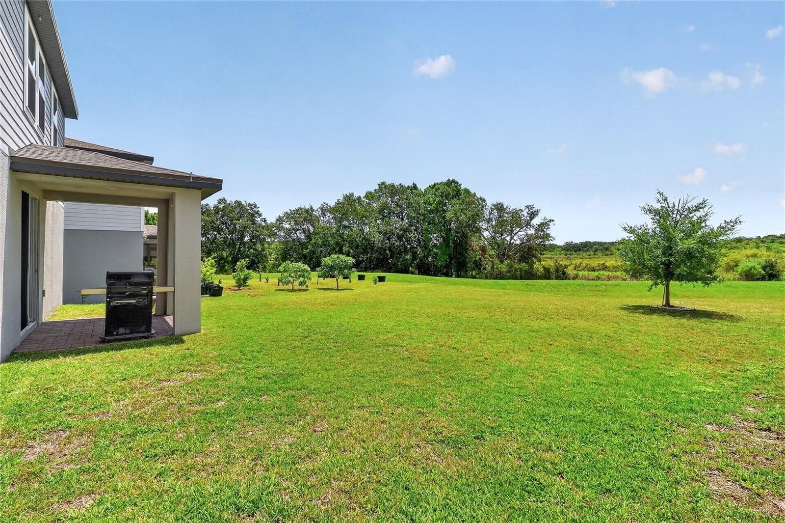 Backyard beautiful views - 3310 WEITZEL DR, HAINES CITY