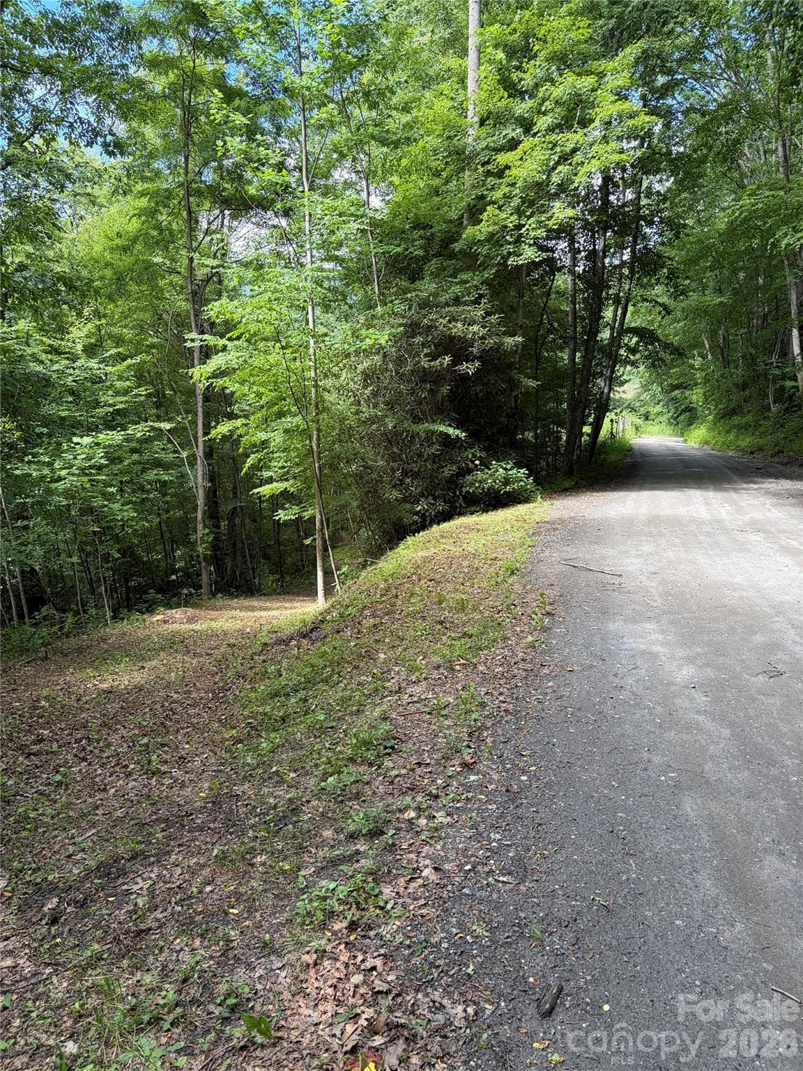 Start of access road from main road - 0 Dodgen Ridge Road, Tuckasegee