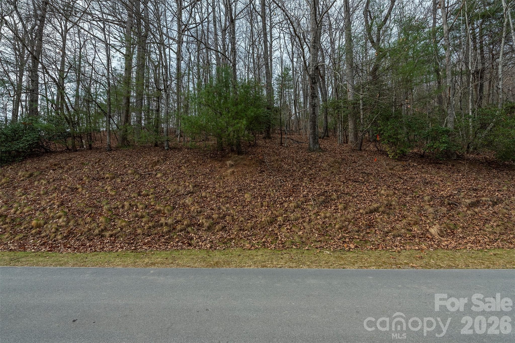 Lot at 24 Falls Lane, Hendersonville, photo 10 of 38
