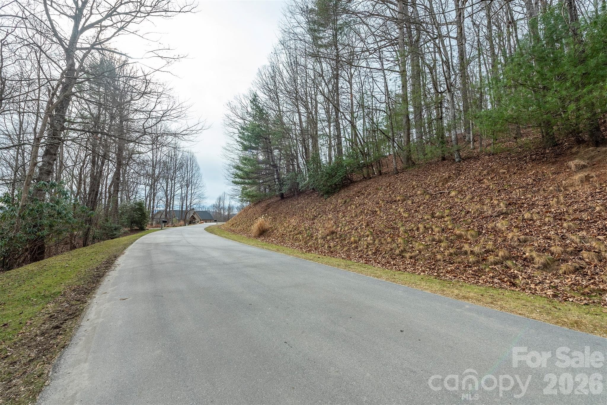 Lot at 24 Falls Lane, Hendersonville, photo 12 of 38