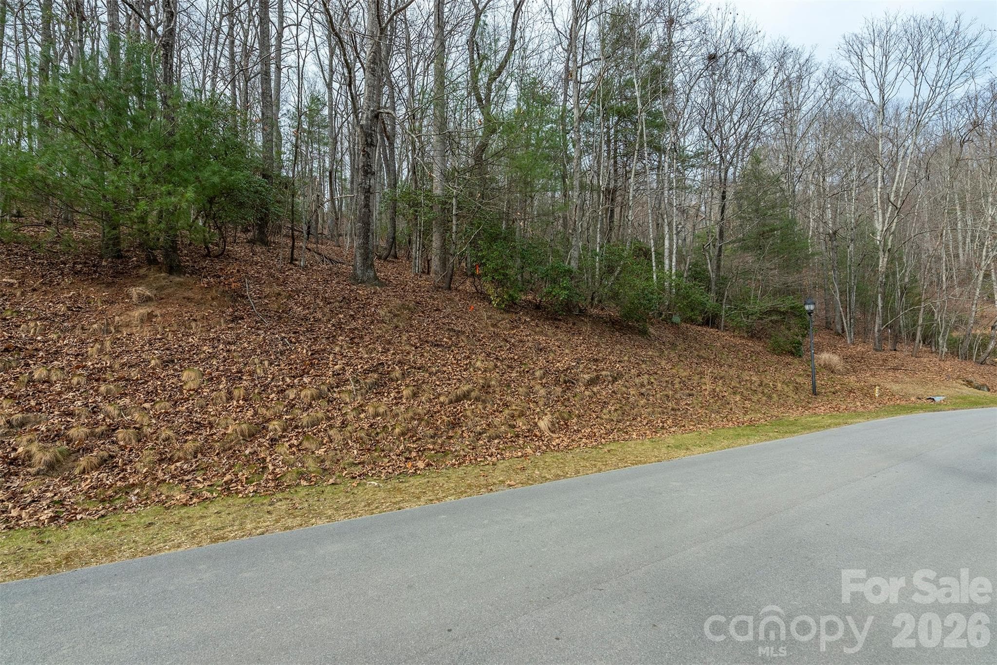 Lot at 24 Falls Lane, Hendersonville, photo 13 of 38