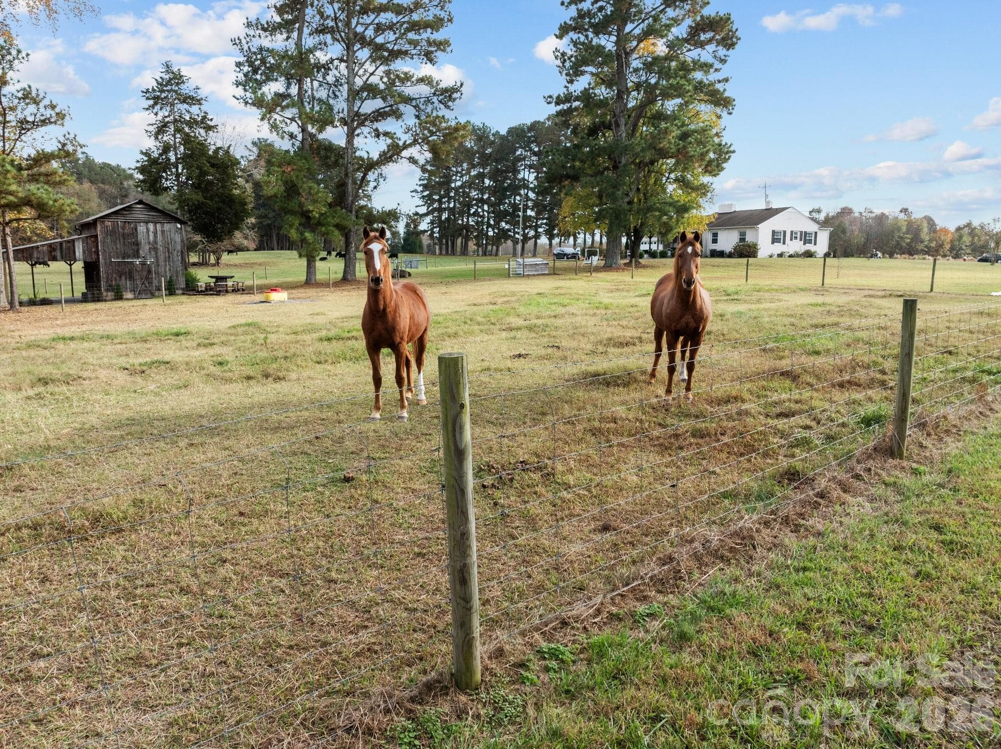 Lot at 0-A US Highway 311 Highway, Archdale, photo 8 of 14