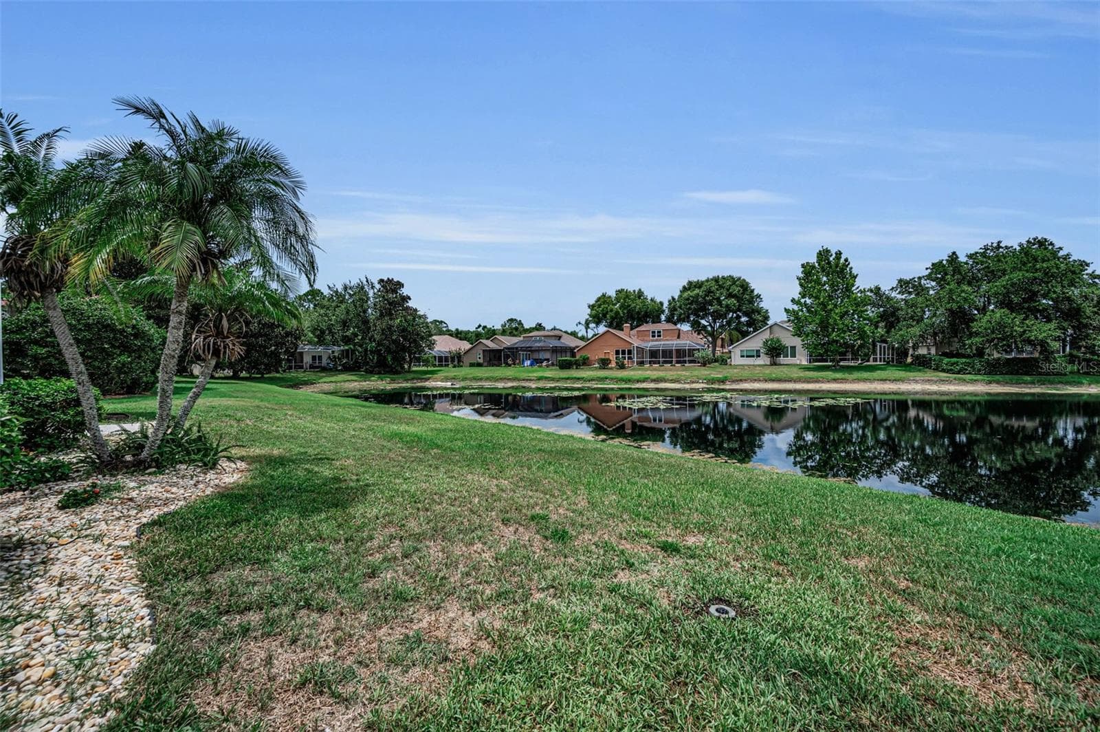 Backyard - 4084 LIGUSTRUM DR, PALM HARBOR