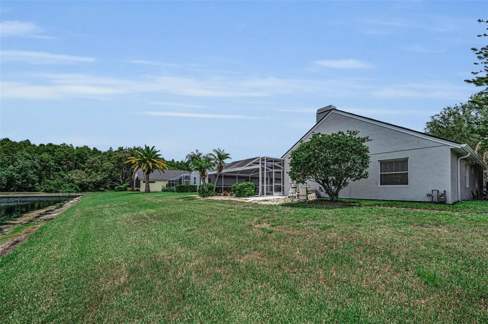 Backyard - 4084 LIGUSTRUM DR, PALM HARBOR